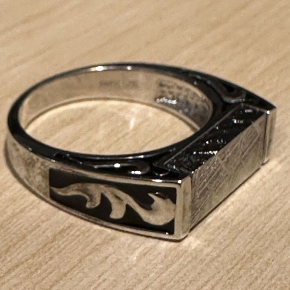 Stauer Meteorite Rectangular Signet Statement Rin… - image 5